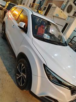 فاو بيستورن X40